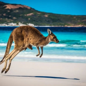 从罪犯流放地到全球最富裕国家,澳大利亚经历了什么?