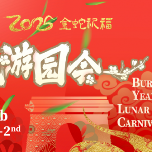 澳洲气温飙升,烦人的蚊子正大量繁殖!或传播致命疾病