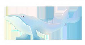 澳洲行及其他地区 目录汇总