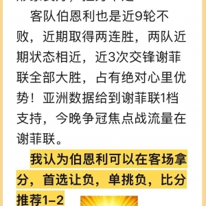 阿德莱德联 VS 西悉尼流浪者