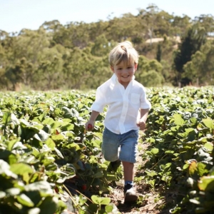 【成功案例】恭喜19岁的F同学获批澳洲101子女签证!海外出生孩子,超过18岁也能拿PR