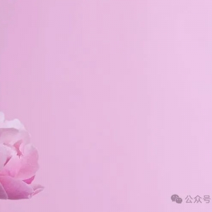 澳洲纯羊毛100%羊绒围巾新款来袭,情侣必备保暖配饰