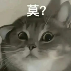 澳洲也有一年制硕士啦!