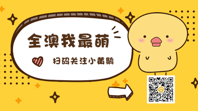 澳洲政要工作努力吗?2024总结盘点!