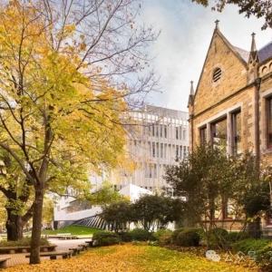 留学澳洲难上加难:学费暴涨+生活成本飙升,国际学生如何自救?