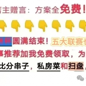 周四布里斯班狮吼的逆境之战:迎战中央海岸水手的挑战