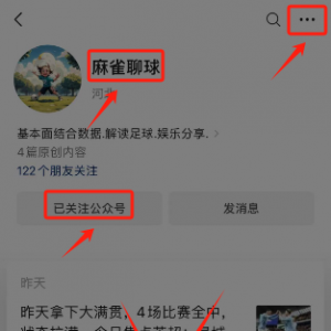 澳超:布里斯班VS纽卡斯托