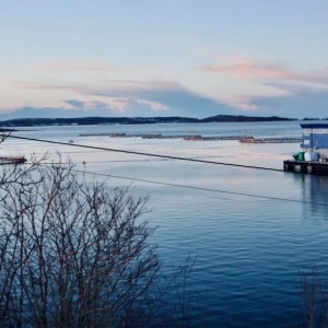 澳大利亚海鲜在中国引起轰动
