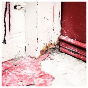 澳大利亚摄影师:LUCIA FISCHER