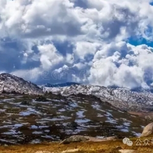 吃浆果、喝溪水 澳洲一徒步者失踪14天获救