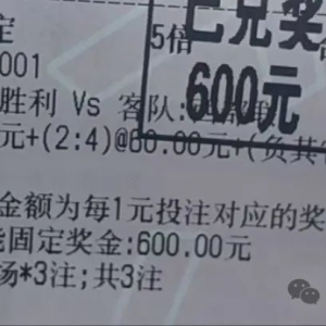 【疯狂足球】墨尔本城vs布里斯班狮吼