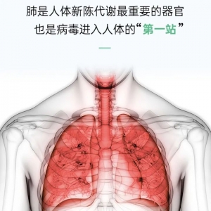 澳洲EZZ清肺片,含有高纯槲皮素,精准作用到肺部,易吸收无负担