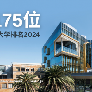 澳洲纽卡斯尔大学