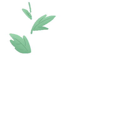 澳洲 “八大” 已有七所接受雅思单科重考,申请更灵活!