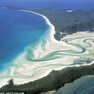 【澳洲生活】孤独星球公布: 全球最美海滩排名! 澳洲直接包揽前二!