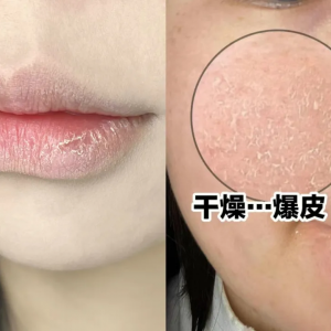 好好调理你的肠胃,澳洲原瓶进口「桉树蜂蜜」,“袋鼠标”认证!