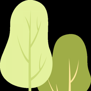 2025年澳大利亚新洲教育部官方游学项目——澳大利亚悉尼全真课堂深度体验12天