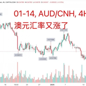 澳洲跌破4.5后, 强势反弹! 昆州小伙崩溃:打3份工都养不活自己!澳洲已经不一样了