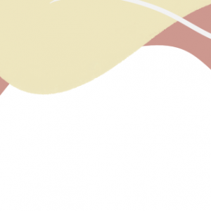 澳洲干粮店:散装购物的奇妙世界