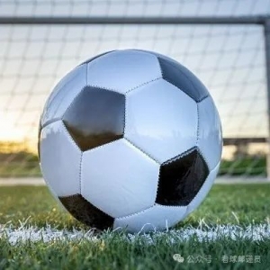 周六002 澳超 悉尼FC VS 布里斯班:历史交锋再现,谁能主宰赛场?