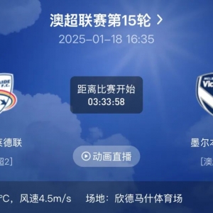 澳超:阿德莱德联VS墨尔本胜利比分预测分析,巅峰对决,胜负几何?