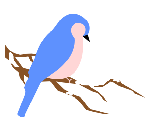 摄鸟人网境外线路鸟讯| 澳大利亚东北部13天拍鸟之旅