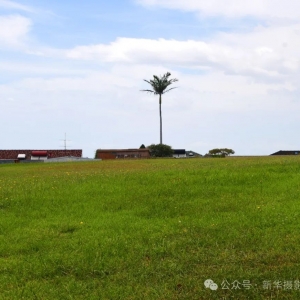 新华摄影(116) 澳洲探亲纪实(三)