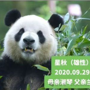 今天正式在澳洲亮相了