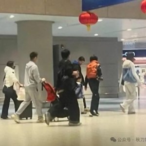 奚梦瑶带爸妈飞澳洲过年,排队3小时有点崩溃,一双儿女好可爱