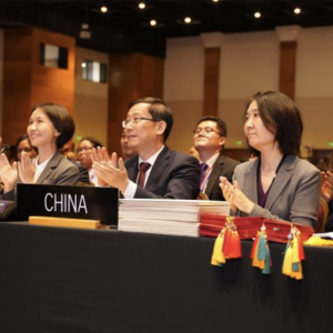 澳洲共庆中国年,但Coles贴春联却“翻车”了!非遗Chinese New Year文化正强势输出!海外华人都在努力!