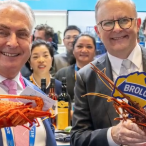 白宫对华加税后,澳大利亚见势不妙:果断向中方伸出橄榄枝