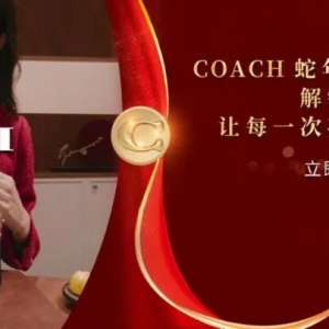 澳洲华人选民,决定2025澳洲大选?