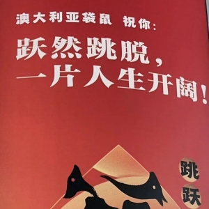 我的跨年之旅 - 完美澳洲行