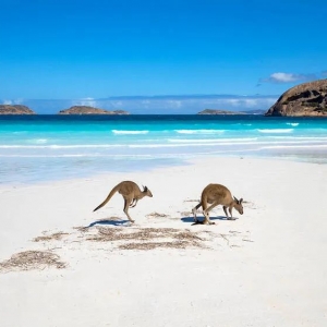 突然变脸! 澳洲要向中国人开放移民通道!