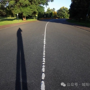 【澳洲记事】阳光