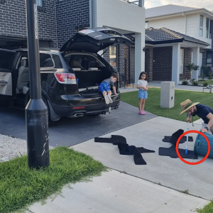 澳洲最恐怖季节来袭!致命毒蛇复苏,差点闯入家中咬伤人!专家提醒:保持警觉