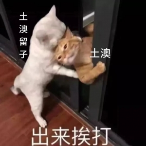 澳洲留学签下降近26%!26fall还有机会吗?