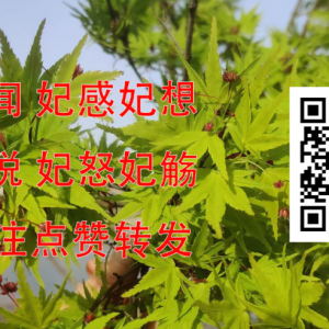 从澳大利亚禁用DeepSeek到西方的围追堵截:中国AI发展需要“百团大战”