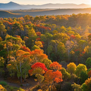 解锁限定版秋日浪漫 | 澳大利亚9日深度游,邂逅南半球的金秋!