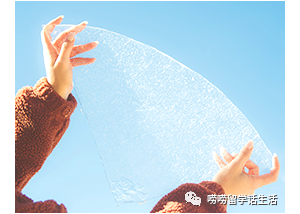 澳洲利好工签提案