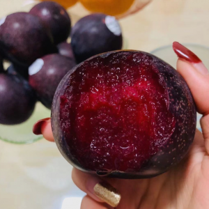 【澳洲进口胭脂女王李】99元到手2.5斤!红如燃烧的红宝石!成熟度超好!每个都是紫黑色熟果!