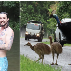 这才是真·恐龙时代!澳洲男子驱车千里,终于在路上堵到它!