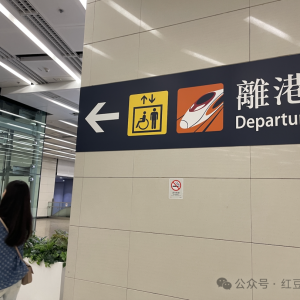 悉尼行记 | 在澳洲过年是种怎么样的体验