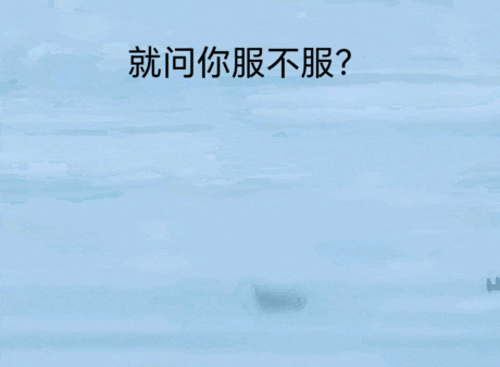 澳大利亚的遭遇再次证明:没有实力,就别跑来南海惹事!