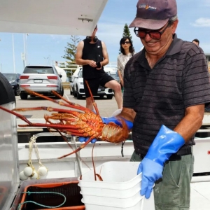 【澳洲生活】直击! 中国人来了! 50.1万人挤爆澳洲机场, 消费暴涨! 铺天的富贵澳洲拿到了!
