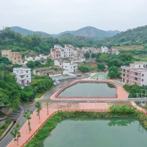 60 元一斤!云浮惊现澳洲青龙虾,年产值近 120 万!