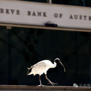 路透社民意调查:澳洲央行将于 2 月 18 日进行短期降息