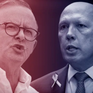 澳洲搞钱新风口来了!直接给华人开绿灯!每年还可获得1w澳币补贴!