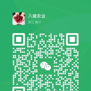 澳洲水蜜桃素材怎么发? 水果文案库第915集