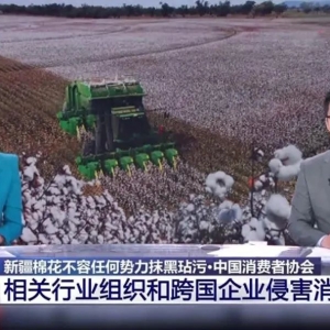 挑起 “新疆棉”事件的中国女留学生,在澳洲被警察暴打!